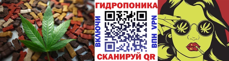omg как зайти  наркота  Бирюсинск  Печенье с ТГК конопля 