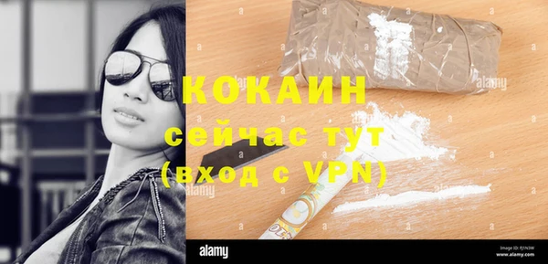тгк Алексин