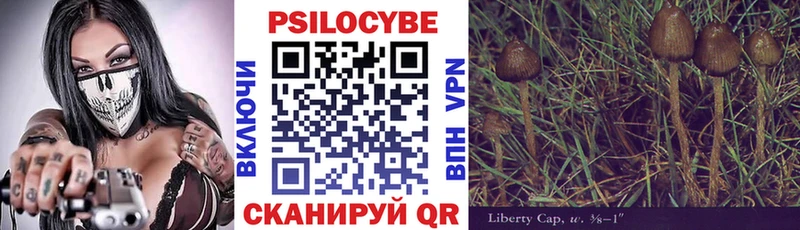 omg рабочий сайт Бирюсинск Галлюциногенные грибы Magic Shrooms