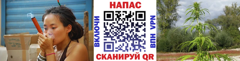 Конопля Ganja  Бирюсинск 